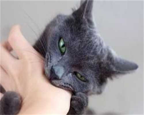 包成功价格_助孕包成功费用,三代试管孕期发育偏快的原因,三代试管容易胎停吗