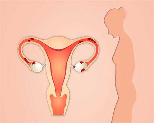 二代试管代生子代生怀囊胚移植成功率多少?