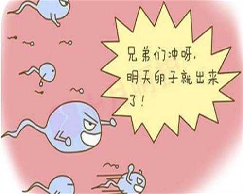 郑州生殖试管最好的医院排名?郑州最好的生殖医学医院?