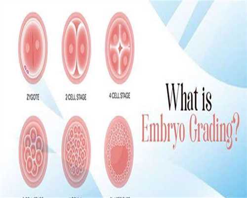专业助孕妈妈_正规试管代孕费用,老年妇女在怀孕期间的饮食建议参考老年孕期