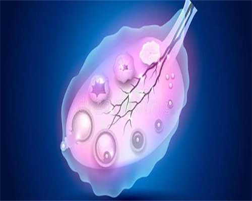 焦作三代试管助孕大概要花多少钱!三代试管郑州!