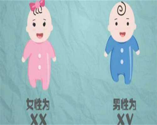 弱精死精做试管可以怀孕吗