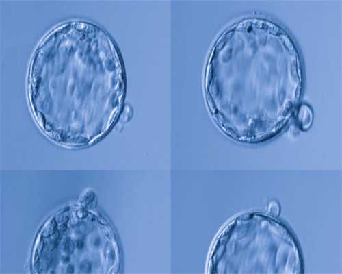 试管前怀孕多久去医院检查？