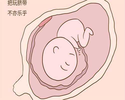 囊胚已经决定男女了吗?试管胚胎性别研究