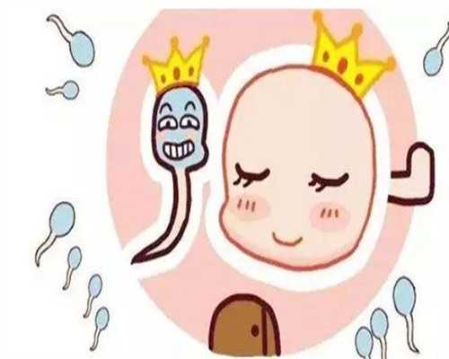 河南信阳借卵试管婴儿生孩子医院排名,哪家医院成功率最高!