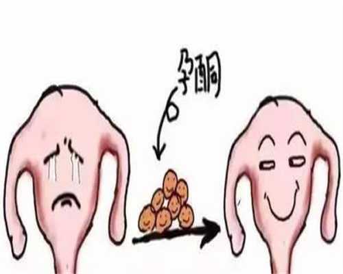 郑州试管助孕生宝宝费用总共多少