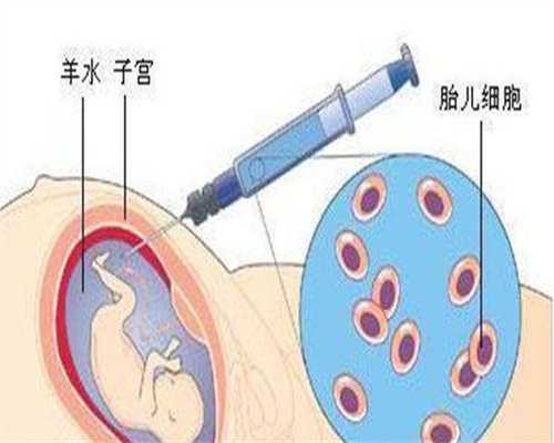 试管代怀套餐:孕期玩手机会影响胎儿吗
