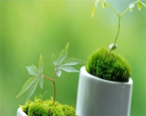 有人在郑州做试管成功吗?附试管花费明细!