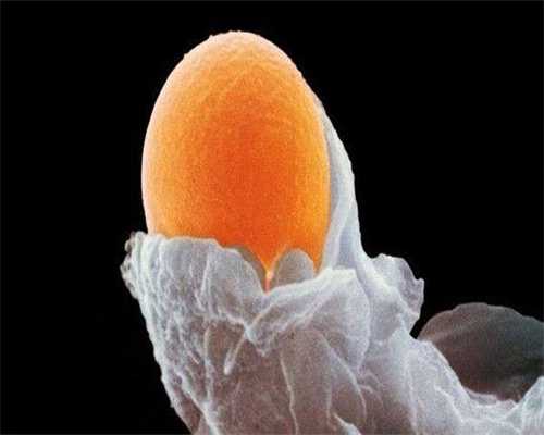 厦门市不孕医院做三代代生操作流程多少钱!附详细费用行情!