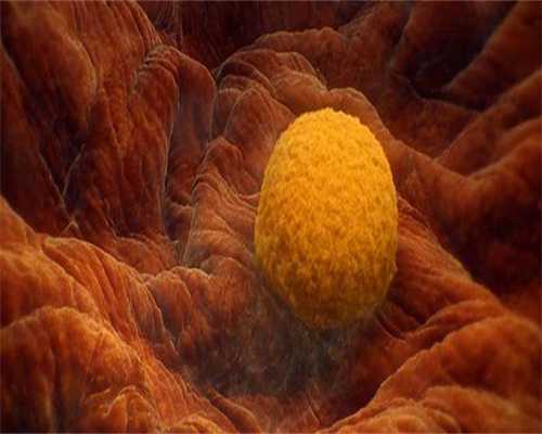 2026年三代试管助孕费用揭露!