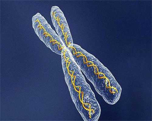 试管进入周期要做什么-试管进入周期要做什么准备