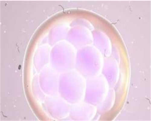 做试管做不孕不育免疫检查